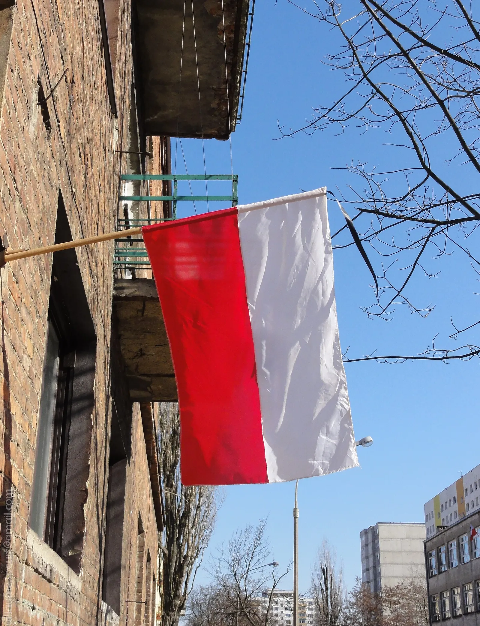 Flaga Polski (zdjęcie ilustracyjne)