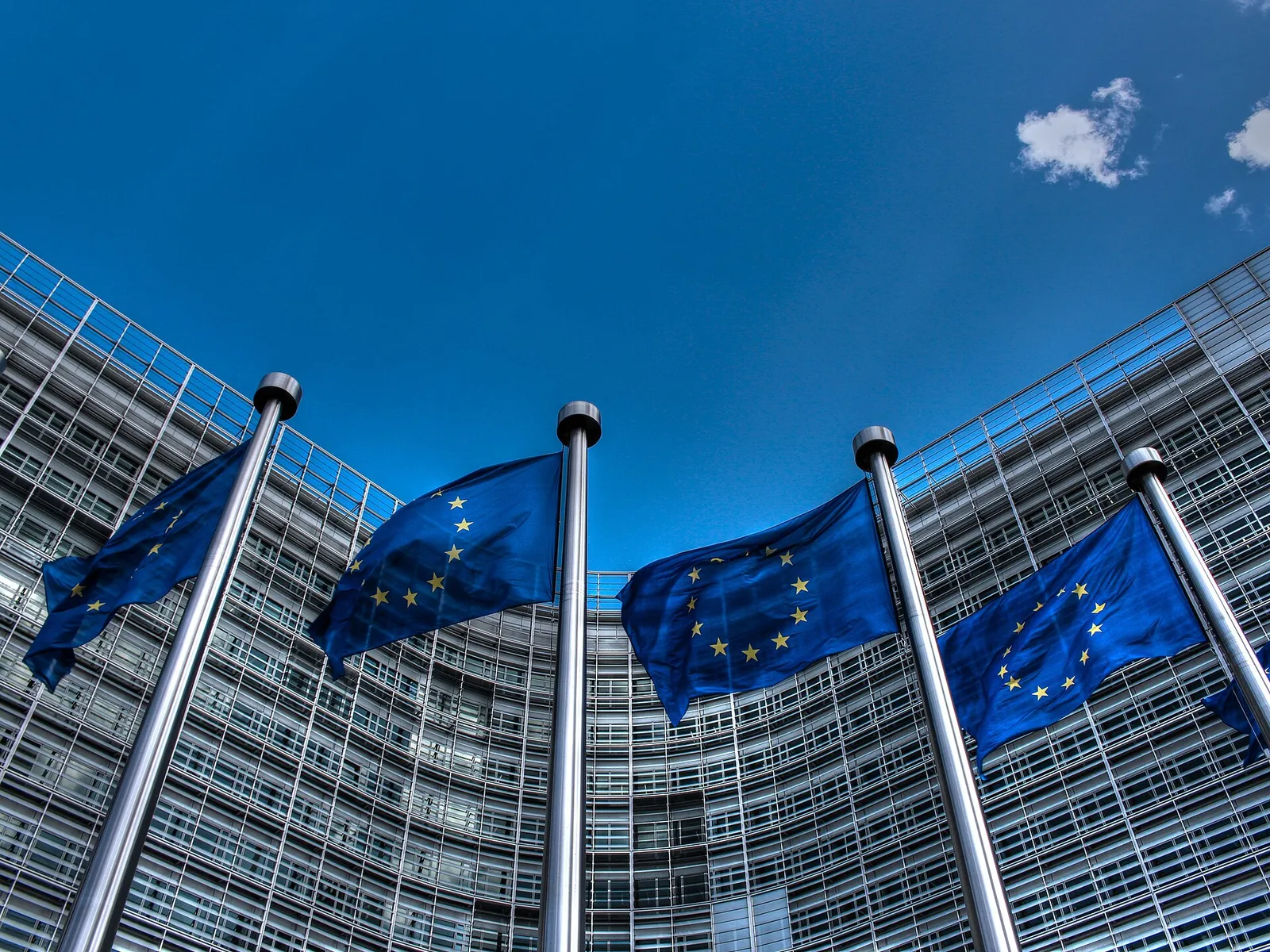 Flagi Unii Europejskiej (zdjęcie ilustracyjne)