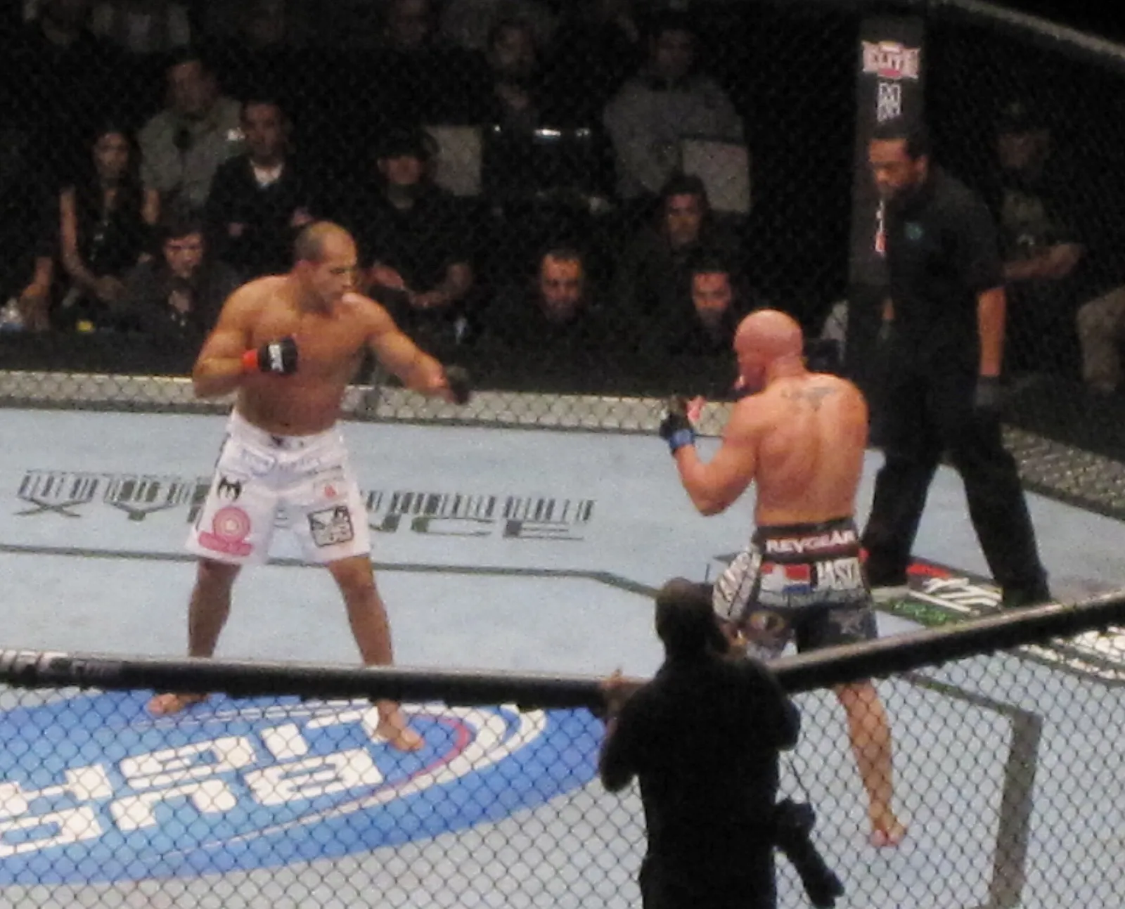 Walka MMA w oktagonie UFC